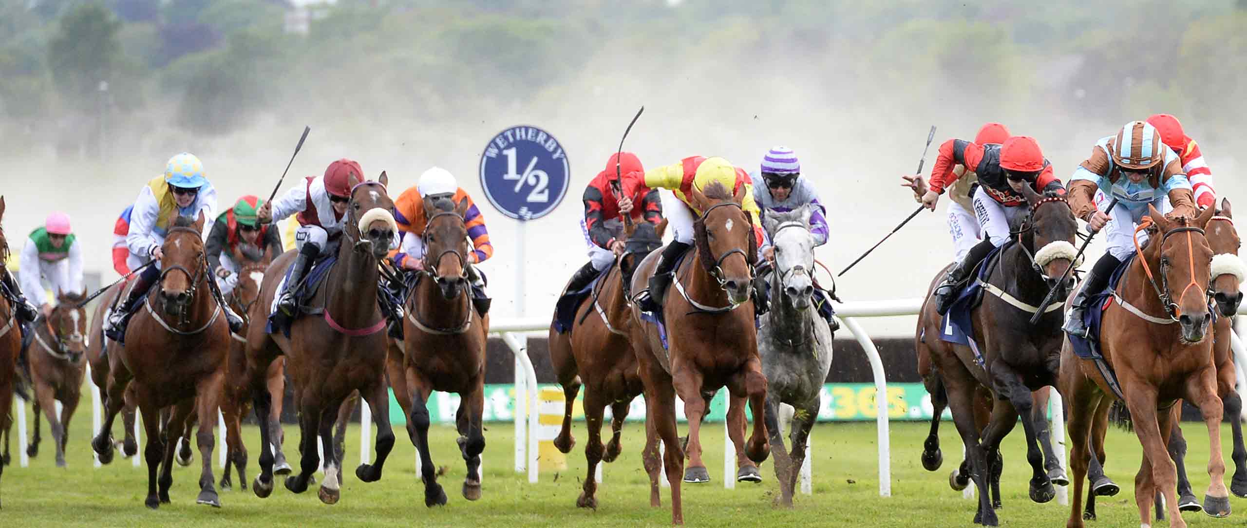 Horse Racing's £300.2 Million economic impact on Yorkshire Wetherby